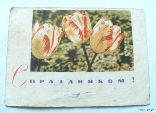 Открытка 1968 (5)