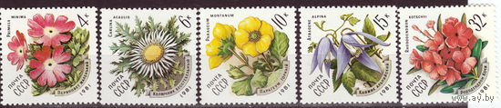 СССР 1981 Цветы украинских Карпат полная серия (1981)