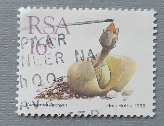 ЮАР.1988.цветок