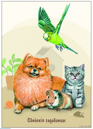 Домашние питомцы. Открытка, глянец