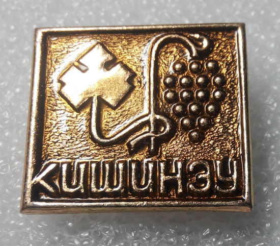 Значок. Кишинев #0466