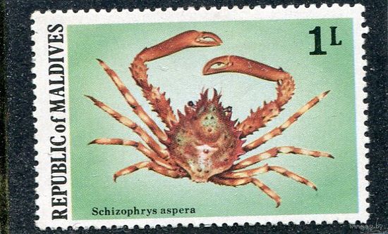 Мальдивы. Морская фауна