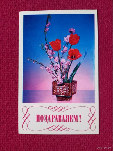 Поздравляем! Шамшина, Минченко, Егоровой 1974 г.