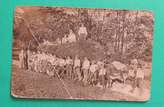 Фото "Русские военнопленные РИ на сельхозработах",ПМВ, до 1917 г.