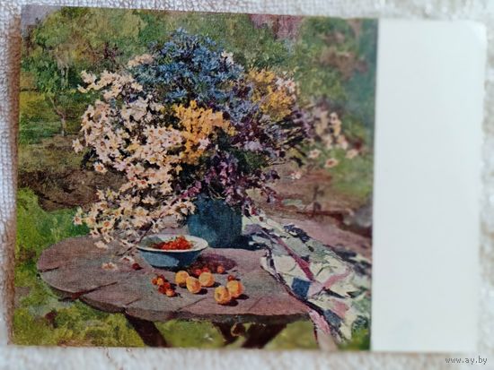 Соколова. Полевые цветы