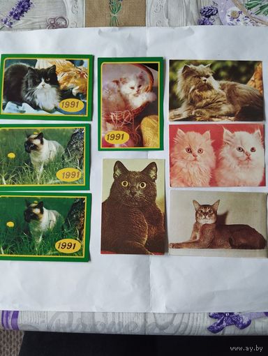 Календарики карманные СССР, винтаж.Кошки.89,91г. Одним лотом(8 шт)
