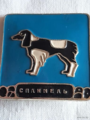 Значок собака Спаниель синий фон