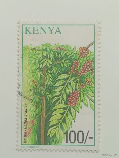 Кения 2001. Культуры
