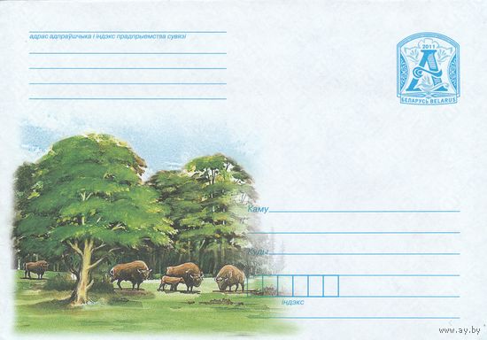 Беларусь 2011 Зубры на лесной поляне (к4)