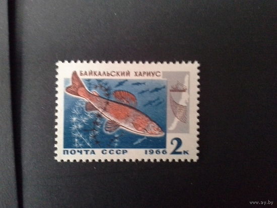 Ссср 1966. Хариус.