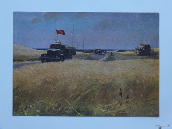 Каррус хлеб государству 1957  10х15 см