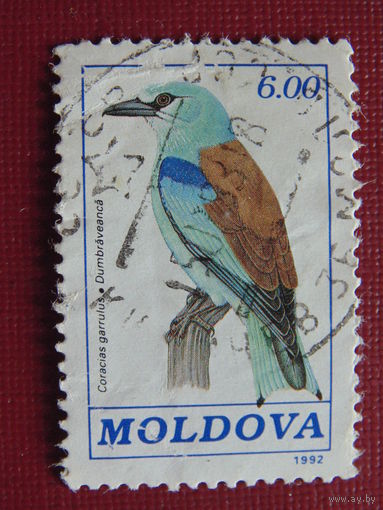 Молдавия 1992 год. Птицы.