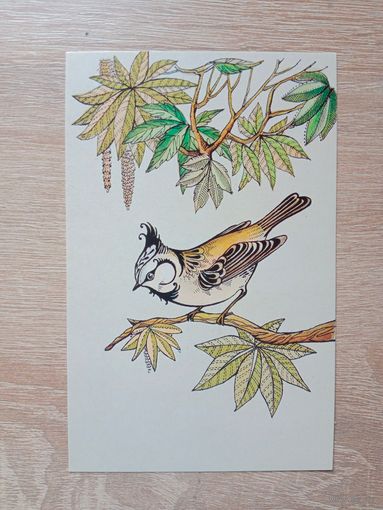 Тренделева 1983 не подписана