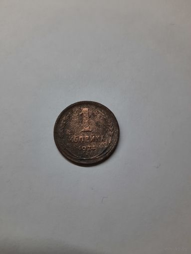 1 копейка 1924 год