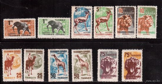 Танжер(Испанские колонии)-1955,(Мих.)  **/* ,  Фауна, (полная серия)