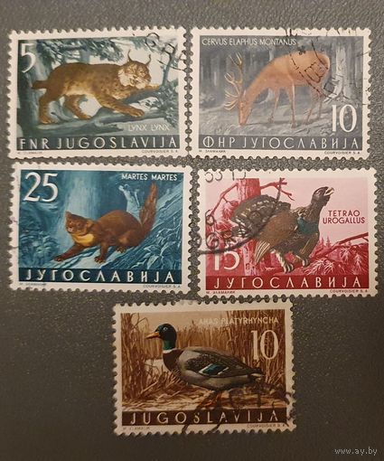 Югославия фауна 5шт