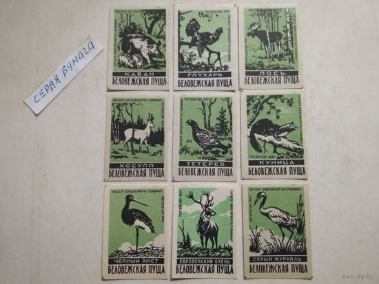 Спичечные этикетки ф.Борисов. Беловежская Пуща. 1960 год