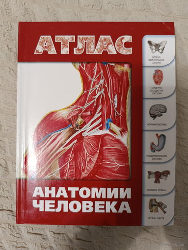 Атлас анатомии человека