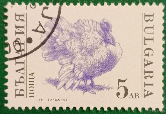 Болгария 1991. Индейка