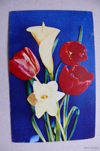 Костенко Г., Букет цветов; 1972, подписана.