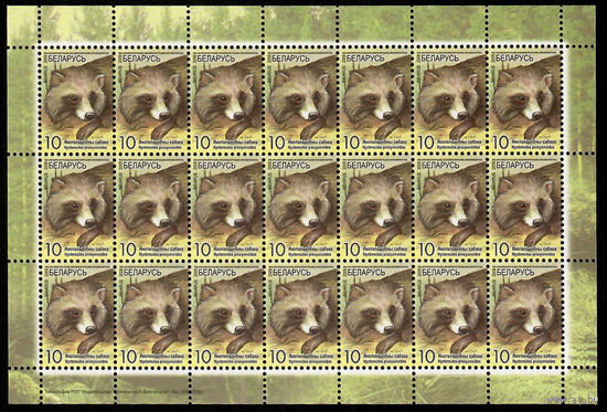 Беларусь. 2008. Стандарт. Енотовидная собака (10р) (з.370-2008) Лист