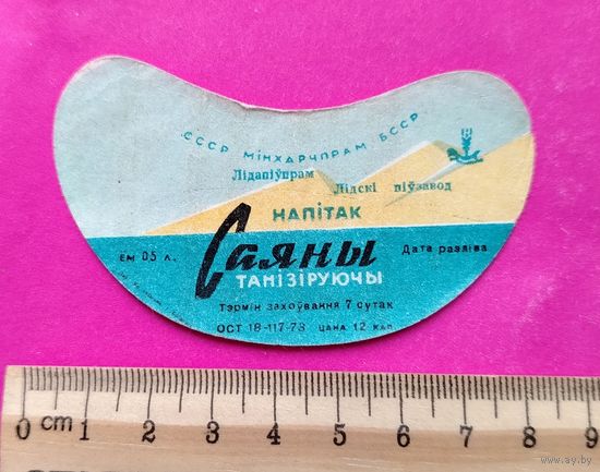 Саяны. Лида.