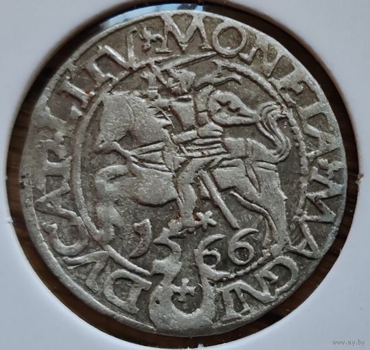 Полугрош 1566 Сигизмунд Август мд Тыкоцин