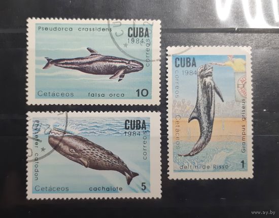 Куба. 1984 год. Фауна. Киты, дельфины (28)