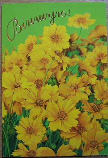 Карточки РБ. Вiншую. 2005г.