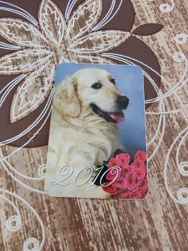 Календарик,собака,2010