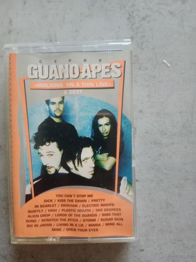 Аудио кассета Guano Apes