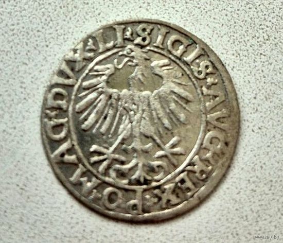 Полугрош 1564 г. Сигизмунд II Август.