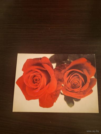 Открытка,Польша,подписана