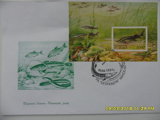 Конверт первого дня гашения 1997 год (стерлядь)