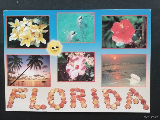 Открытка прошедшая почту. США. Florida. Цветы.