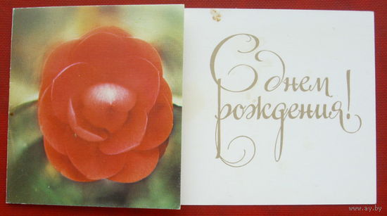 С днём рождения! Чистая. 512.