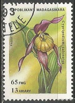 Республика Мадагаскар. Цветы. Башмач0к настоящий. 1993г. Mi#1571.