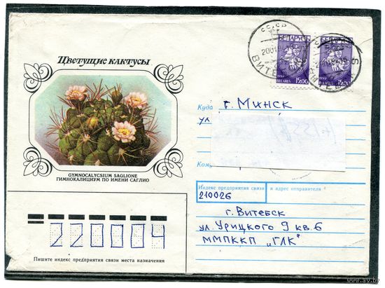Беларусь. Конверт п.п. Кактус Гимнокалициум. Штемпель Витебск 1994
