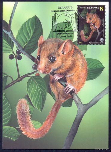 Беларусь 2021 Картмаксимумы фауна