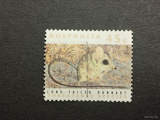 Австралия 1992. Животные. Исчезающие виды. Длиннохвостая сумчатая мышь