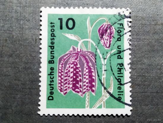 Марка Германия 1963 год Цветы