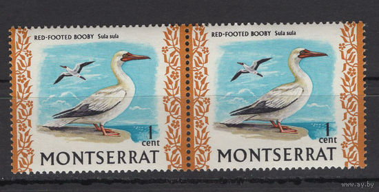 Монтсеррат 1970** Фауна Птицы сцепка SG#242