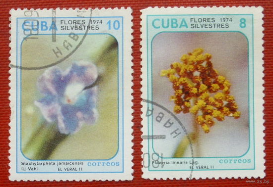 Куба. Цветы. ( 2 марки ) 1974 года. 9-12.