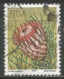 ЮАР. Протея королевская. 1977г. Mi#521.