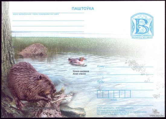 2010 год Бобр #38