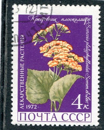 СССР 1972.. Флора. Крестовник плосколистый