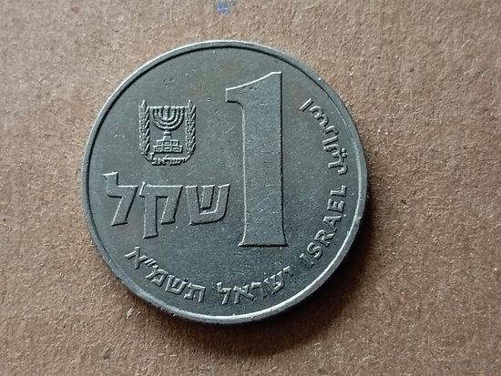 Израиль 1 шекель, 1981г. (D-88)