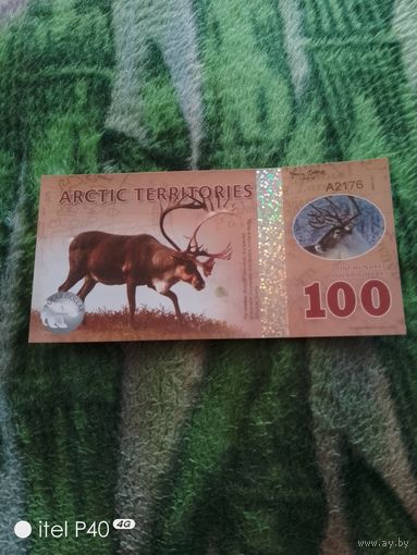 Арктик 100