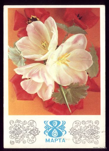 1974 год Г.Костенко 8 марта