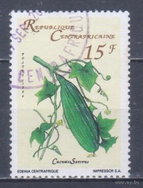 [190] ЦАР 1996. Флора.Плоды.Огурец. Гашеная марка.